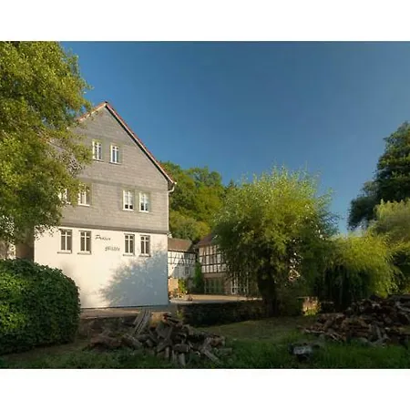 Proeser Muehle Apartmán Weilmunster