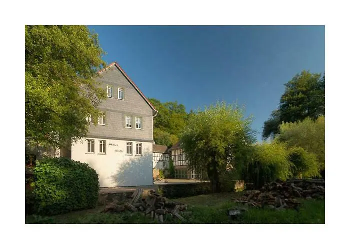 Proeser Muehle Apartament Weilmunster